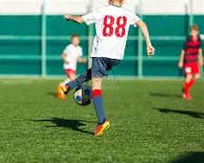 澳网女单,决赛,高芙对决巴,亚博体育,亚博体育官网,亚博体育app,亚博体育下载